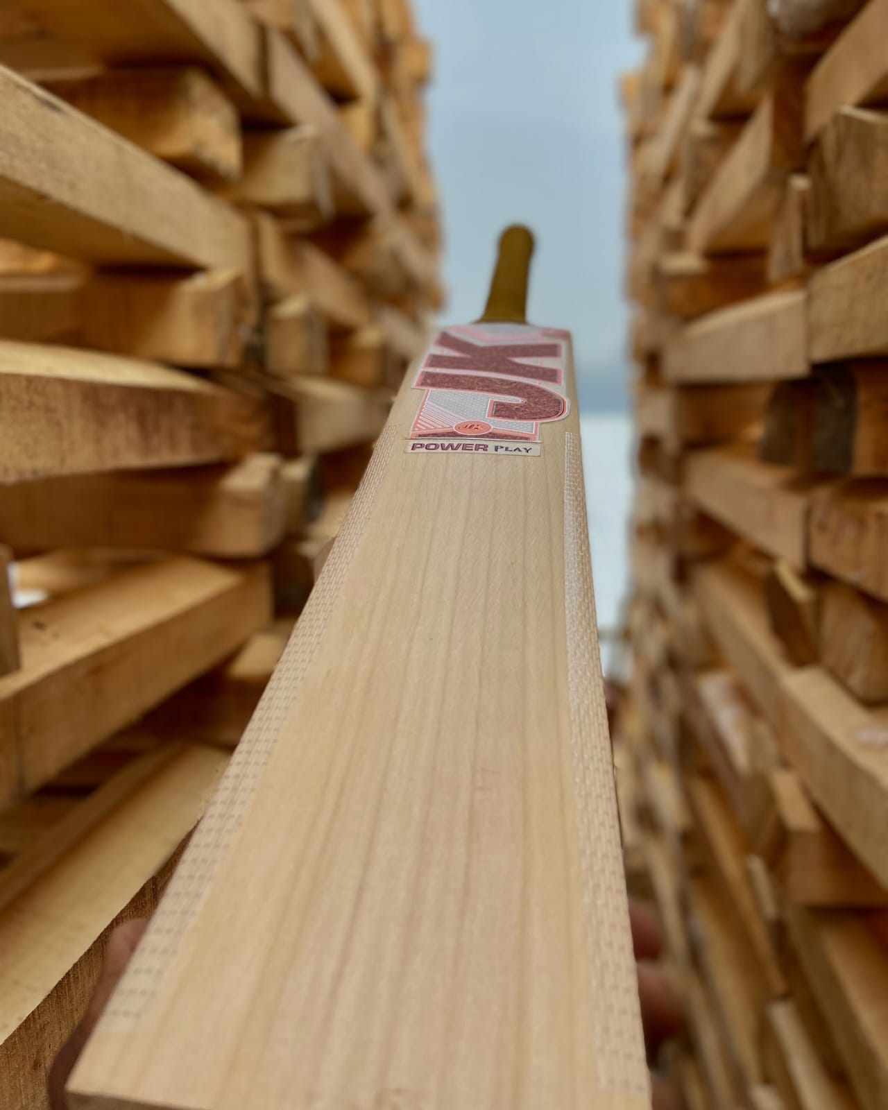 whatsapp image 2025 10 29 at 12.16.00 am